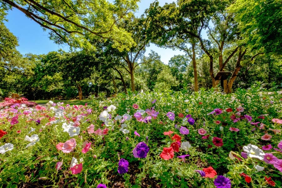 Grapevine Botanical Gardens At Heritage Park Gograpevine