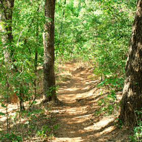 TrailCleanupEvent