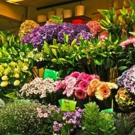 flowers 1696533 640