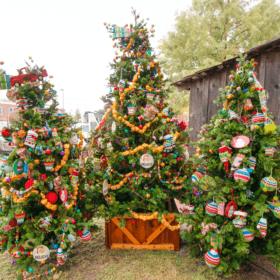 The Crew Behind a Magical Christmas in Downtown Grapevine - GoGrapevine