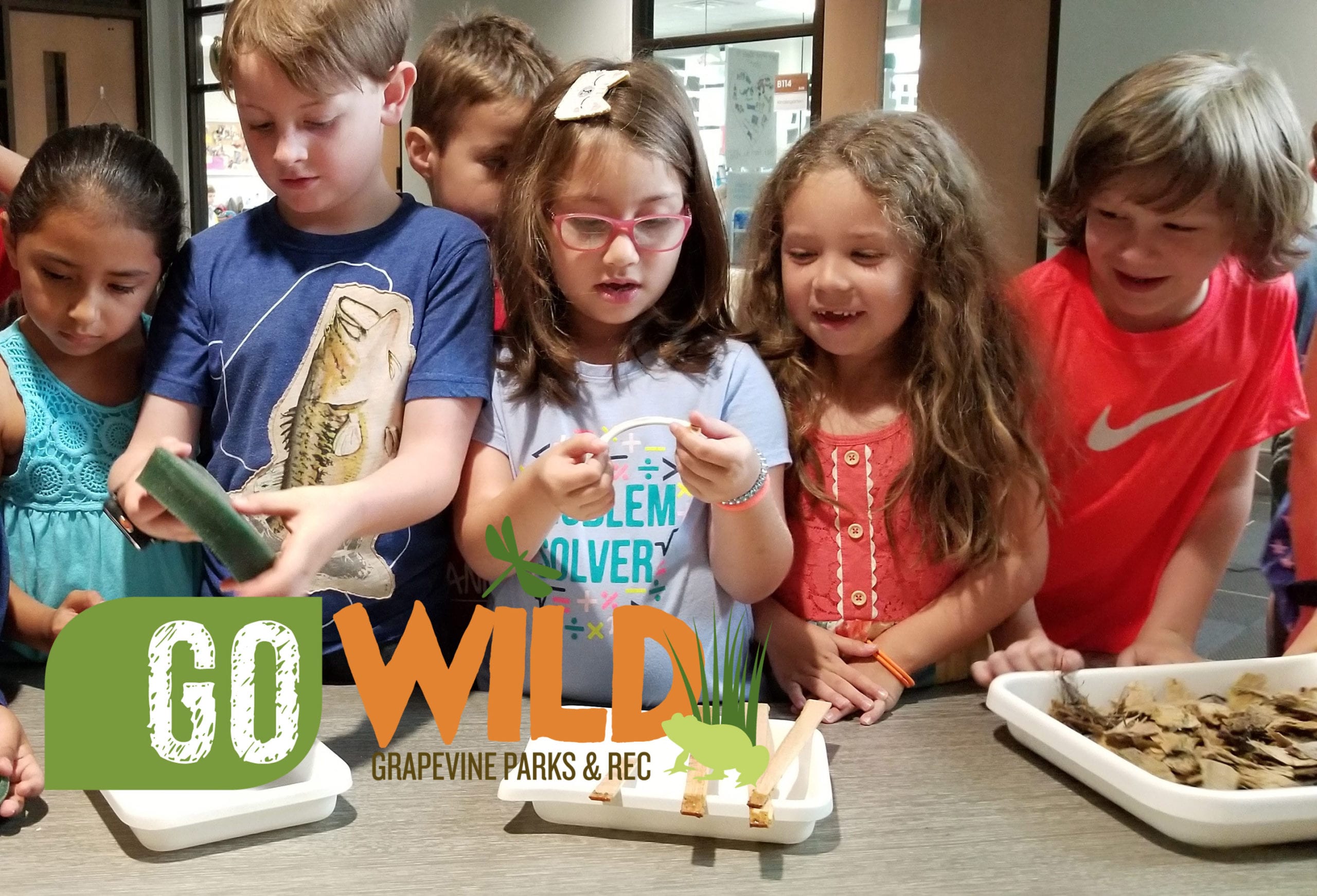 Go Wild