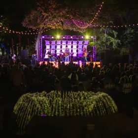 54861129599_8ee8db7d60_c