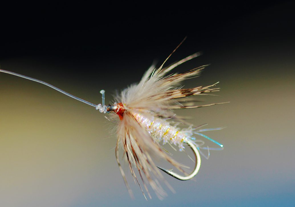 Fly Fishing