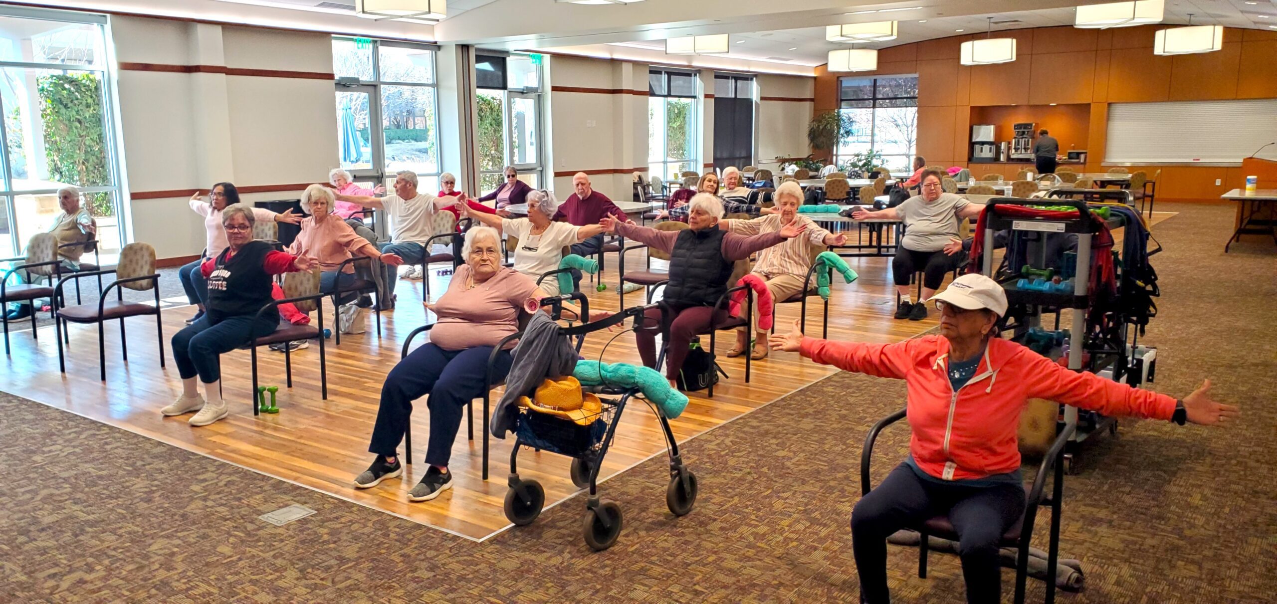 Chair Aerobics For Everyone: Chair Tai Chi