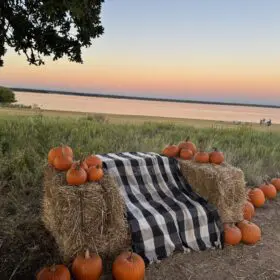 PumpkinFest Hay Seat