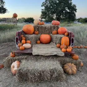 PumpkinFest Truck Bed with Pumpkins
