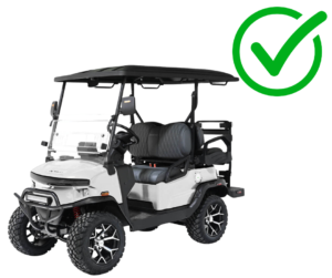 Neighborhood Electric vehicle checked